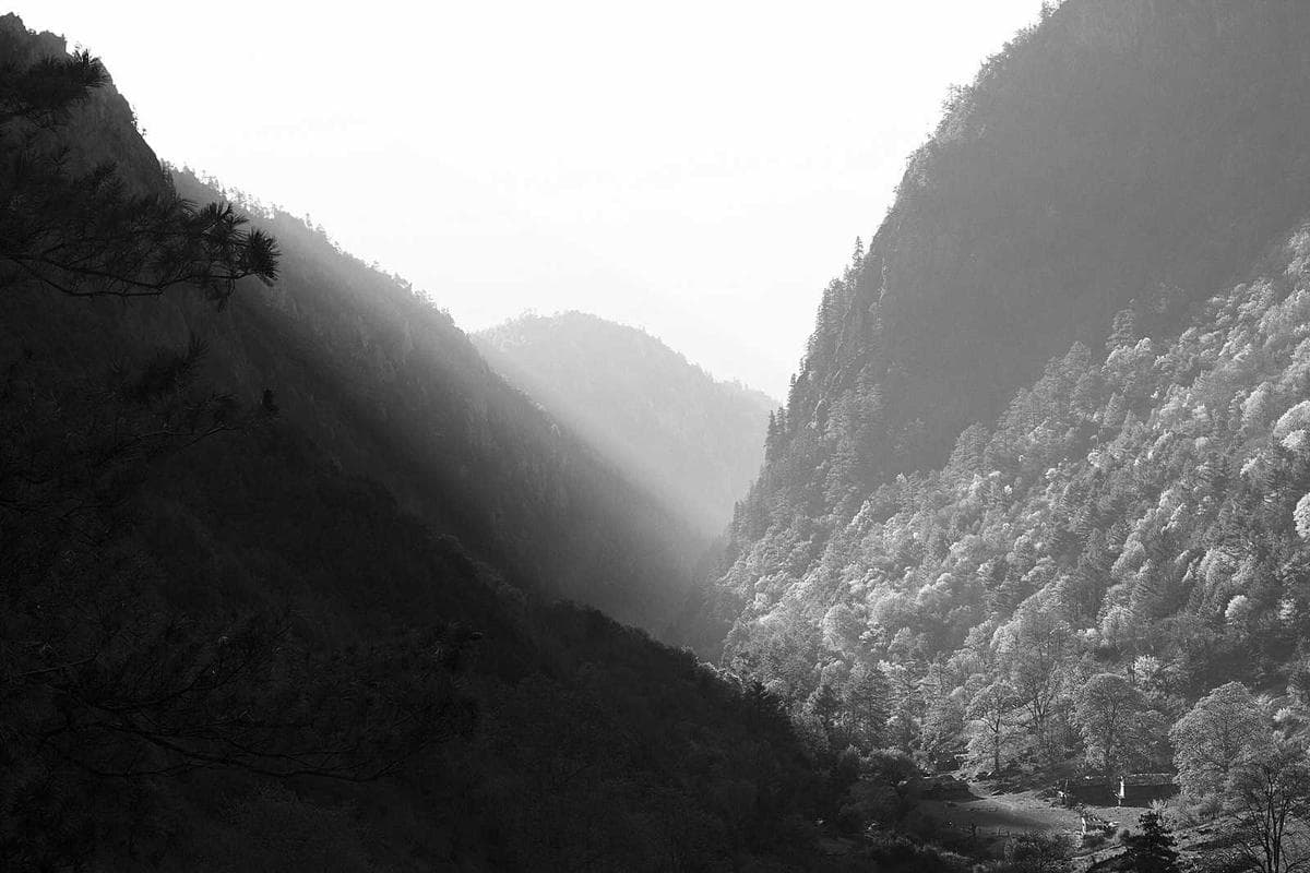 Members of the Putney Energy Cooperative reviewing a generation chart on a wall-mounted screen.